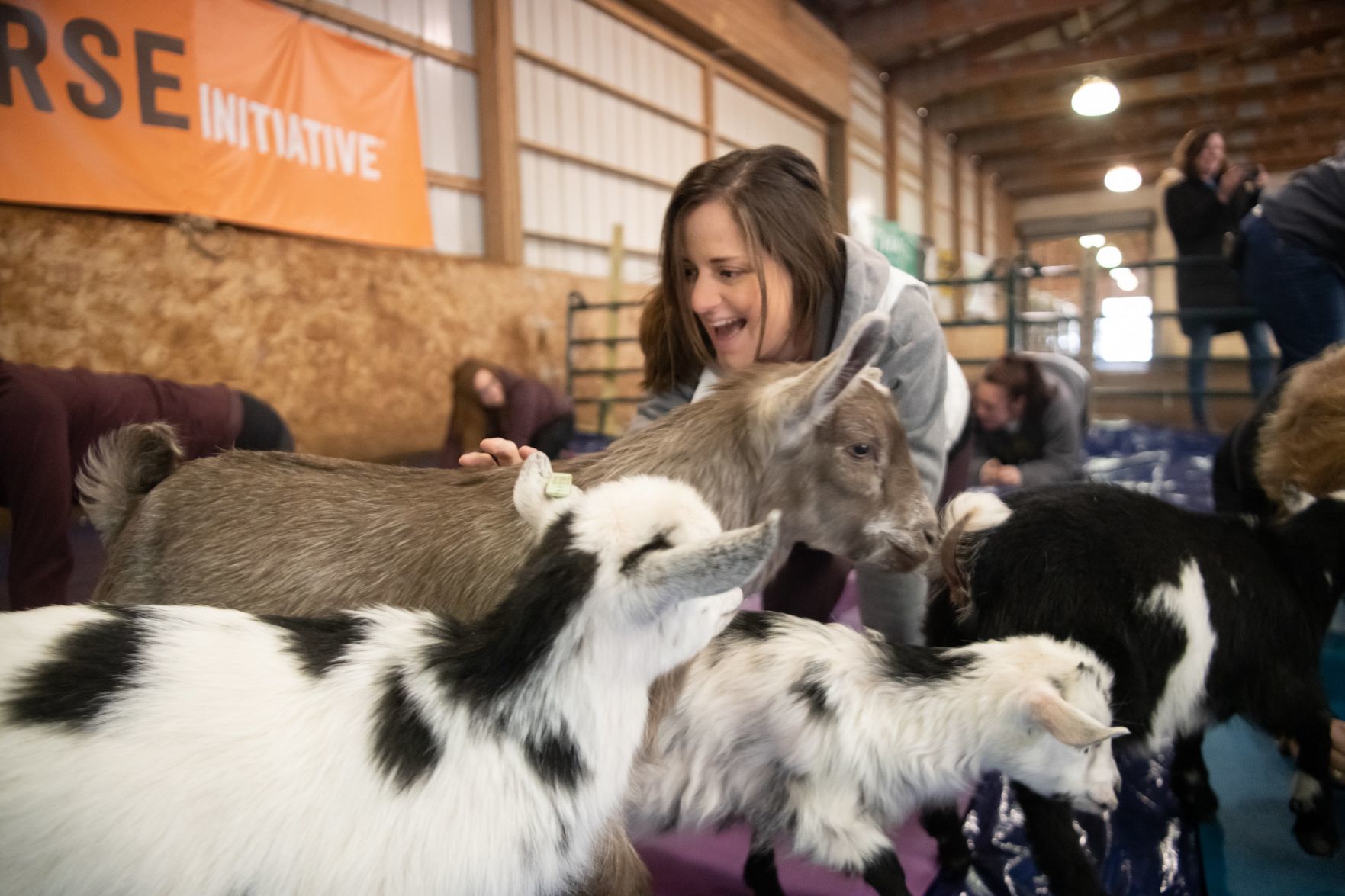 Baby goat yoga at Longmeadow Rescue Ranch